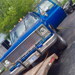 Meet your Posher, Bella